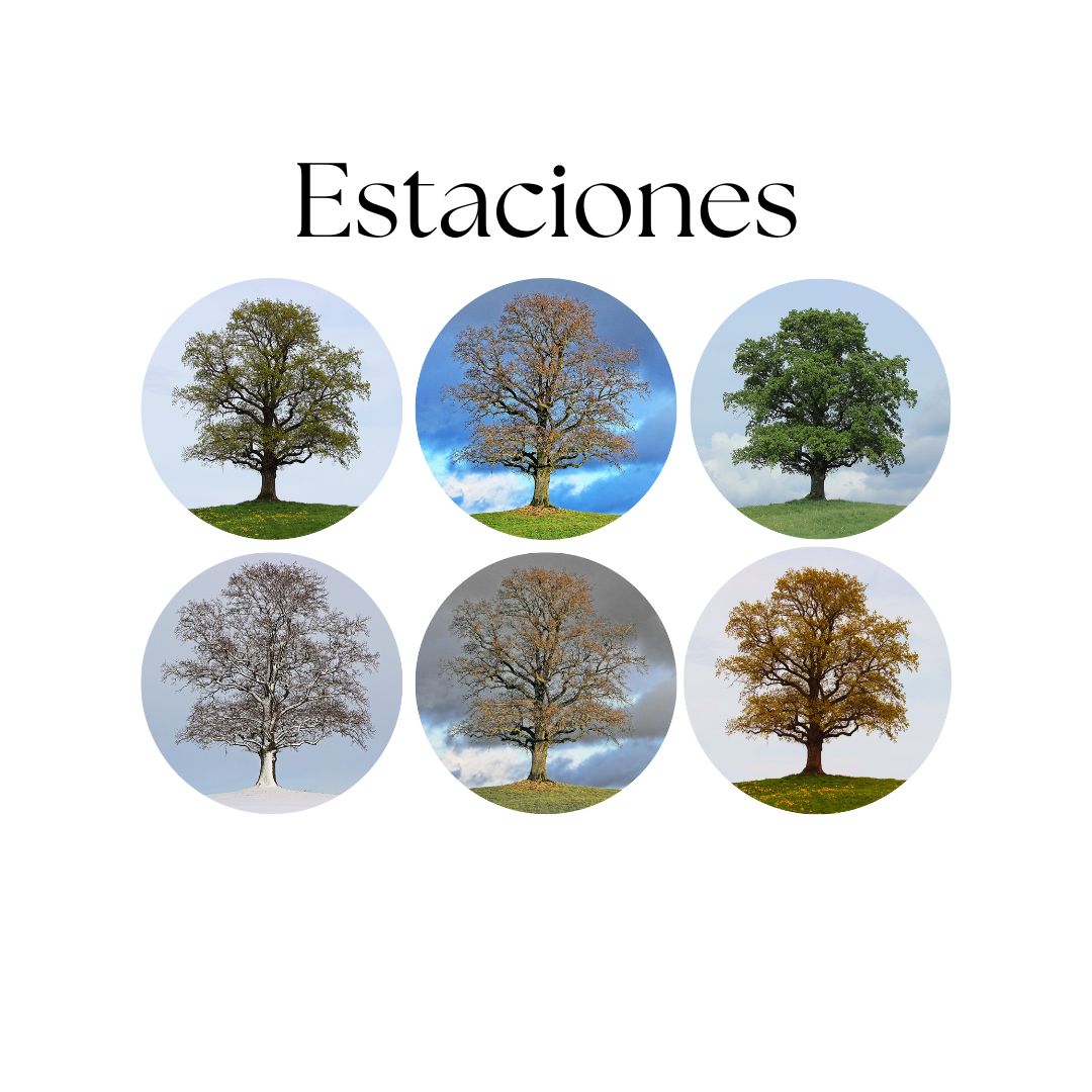 Estaciones