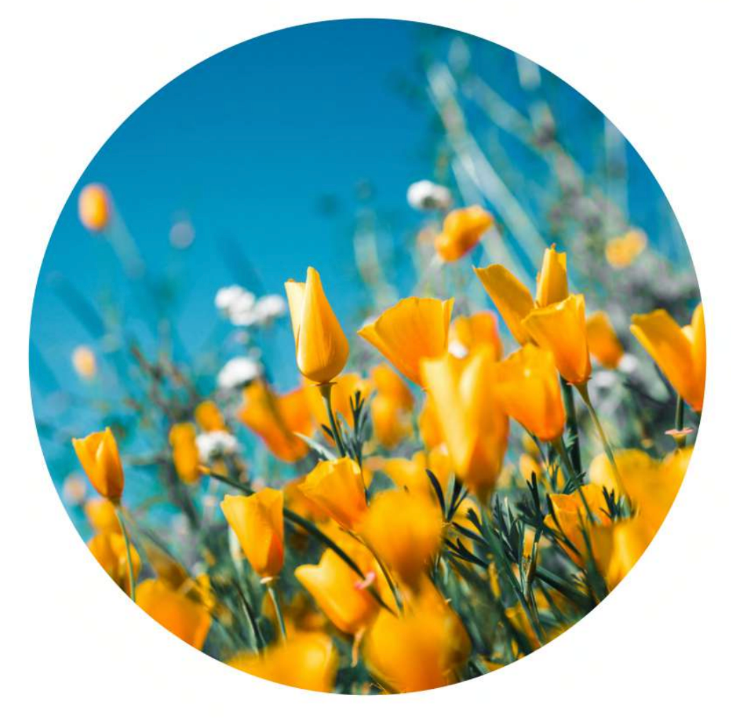 Florales