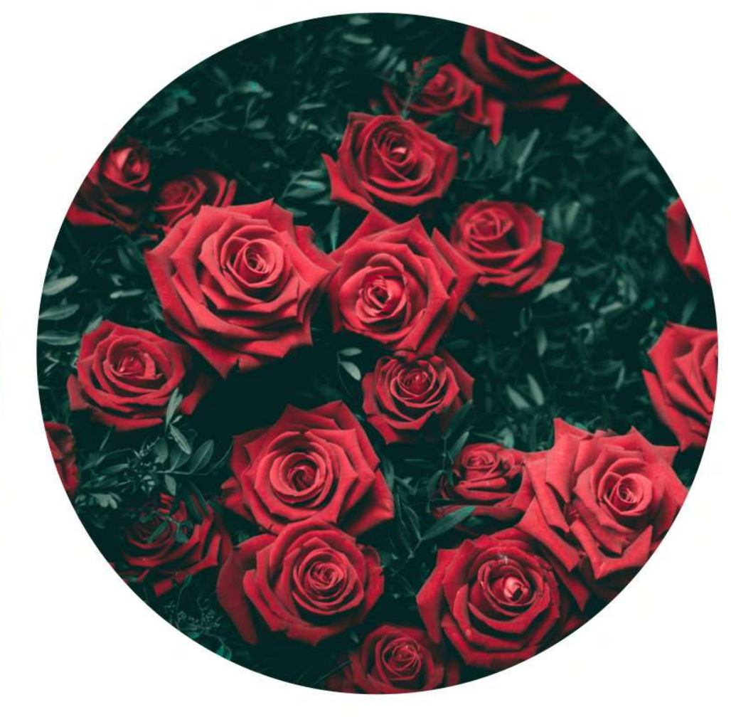 Florales