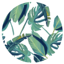 Tropical
